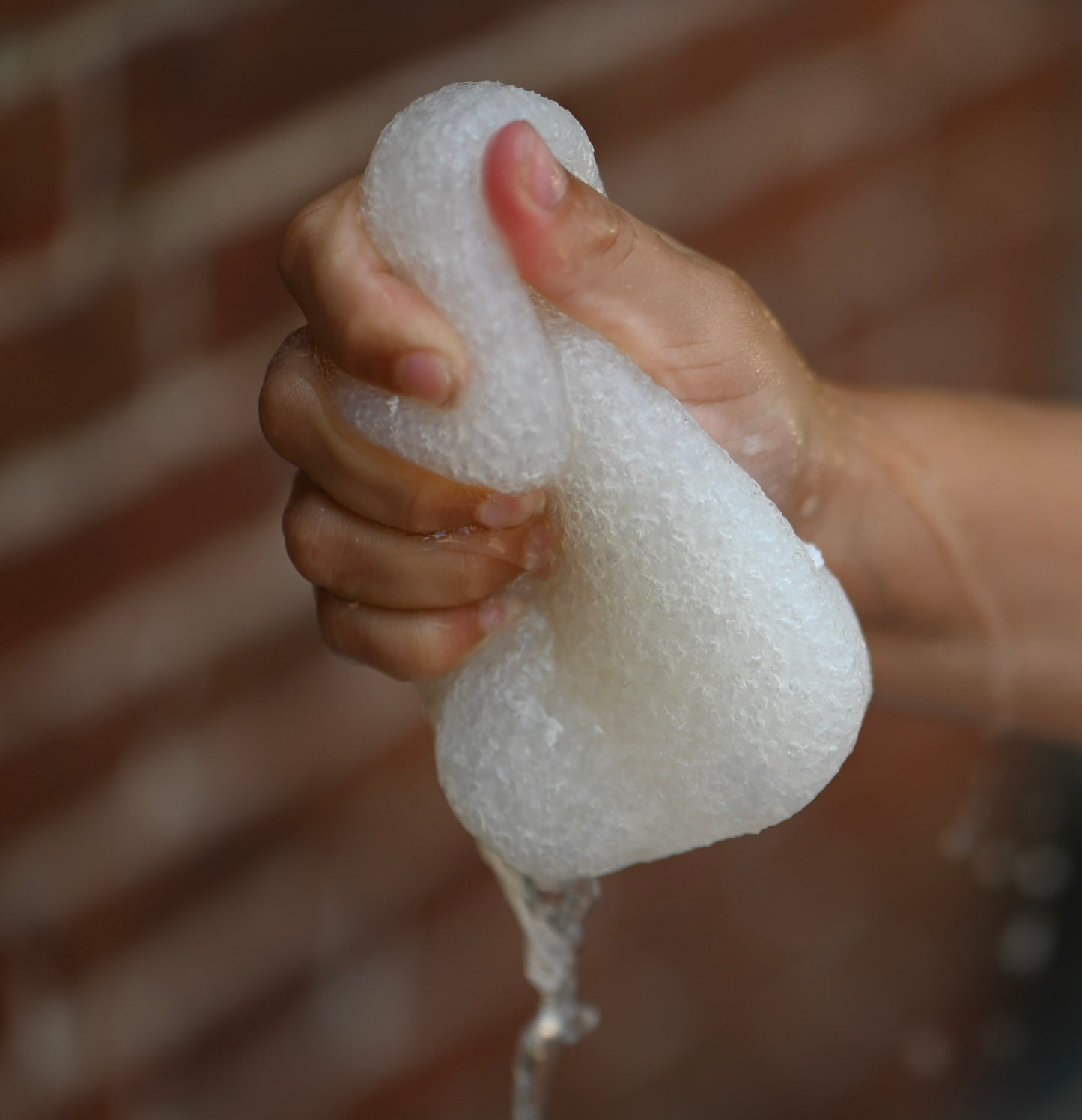 Body konjac sponge walnut 